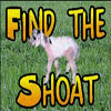 Find the Shoat v1.1