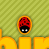 Ladybug final