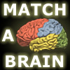 Match-A-Brain