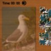 Puzzle Mania - Seagull
