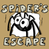 Spider's Escape
