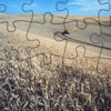 Wheat Field Jigsaw