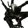 Aliens VS Predator
